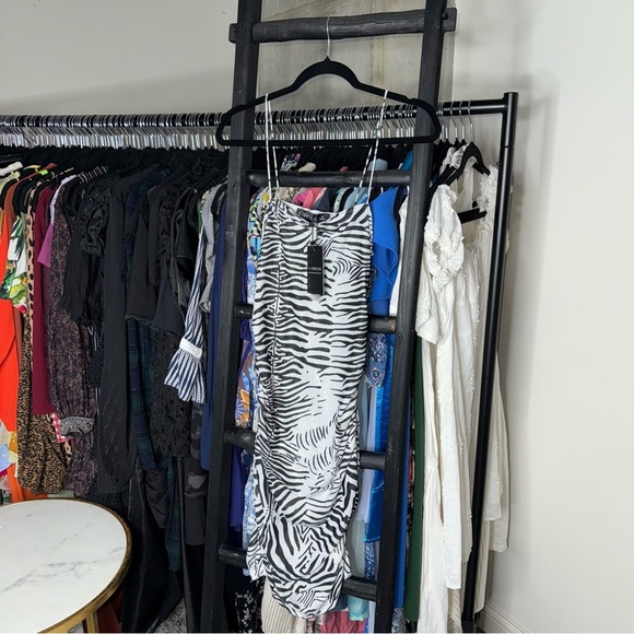 Lioness Mesh Zebra Print Mini Dress in Black White - Picture 4 of 11